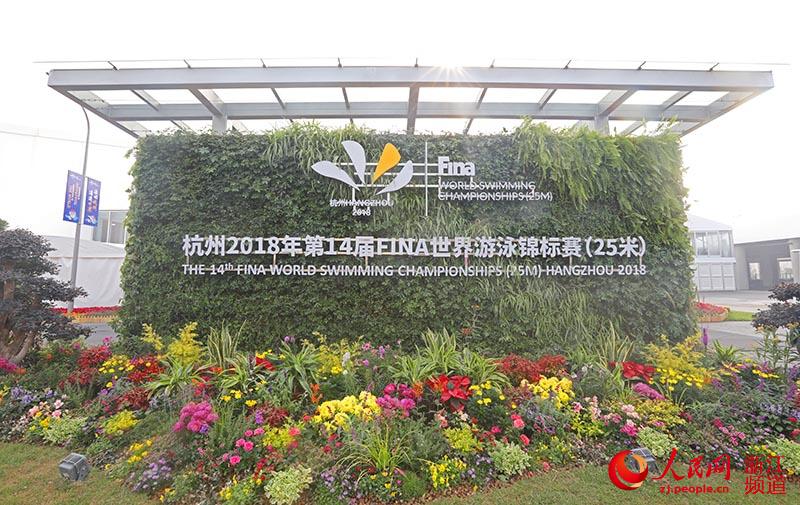 11月30日，杭州世游赛比赛场馆。章勇涛 摄