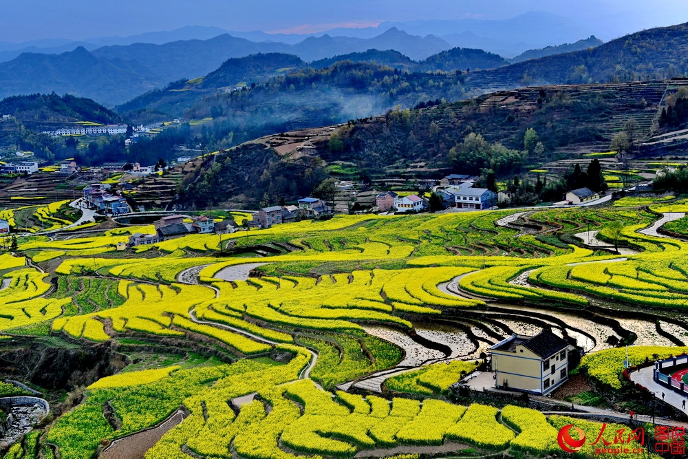 å¤å °æ¢¯ç° ä¸¥å»ºè®¾018.JPG