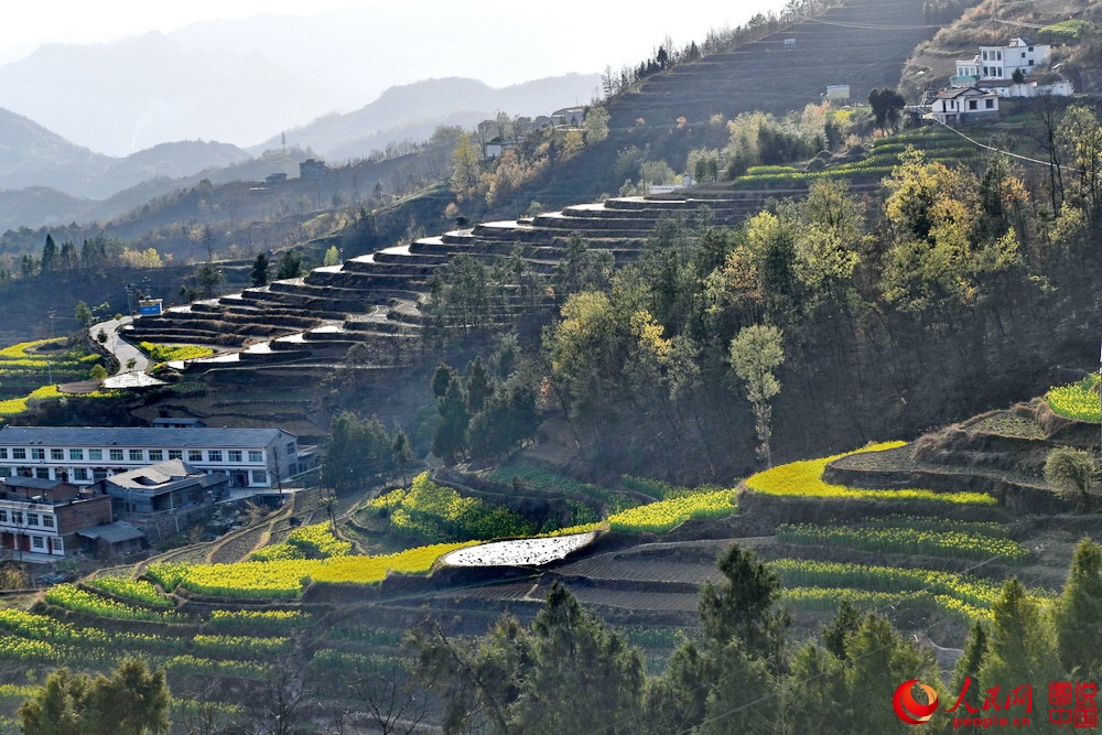 å¤å °æ¢¯ç° ä¸¥å»ºè®¾055.JPG