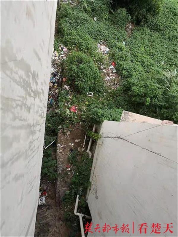 t01b9f47bd51a0dd891.jpg?size=600x800