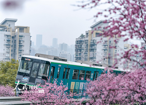 重庆：开往春天的列车